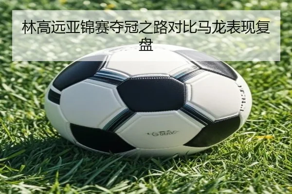 林高远亚锦赛夺冠之路对比马龙表现复盘