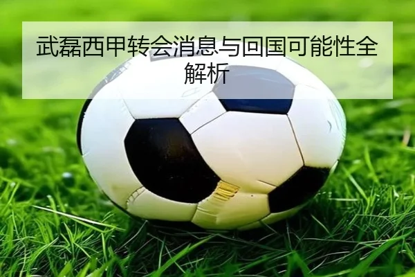 武磊西甲转会消息与回国可能性全解析